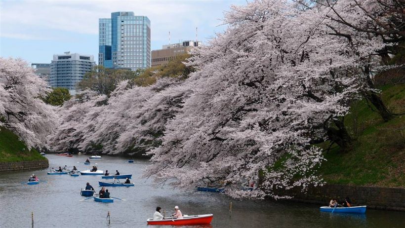 Nhật Bản Mùa hoa Anh Đào