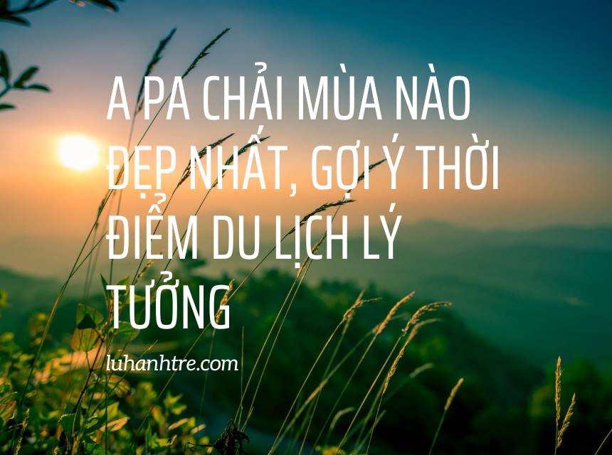 A Pa Chải mùa nào đẹp nhất, gợi ý thời điểm du lịch lý tưởng