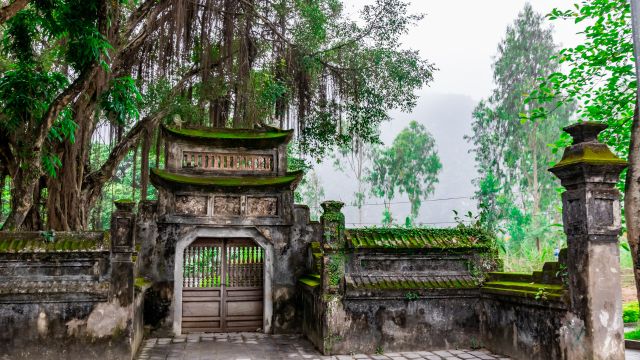 Ninh Bình Hoa Lư Tam Cốc trong ngày, tour Ninh Bình 1 ngày